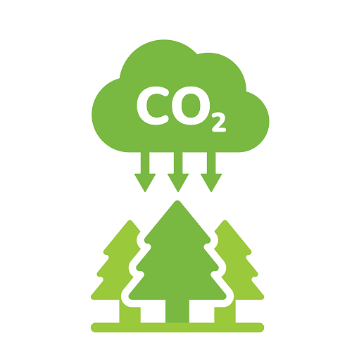 co2 forest icon